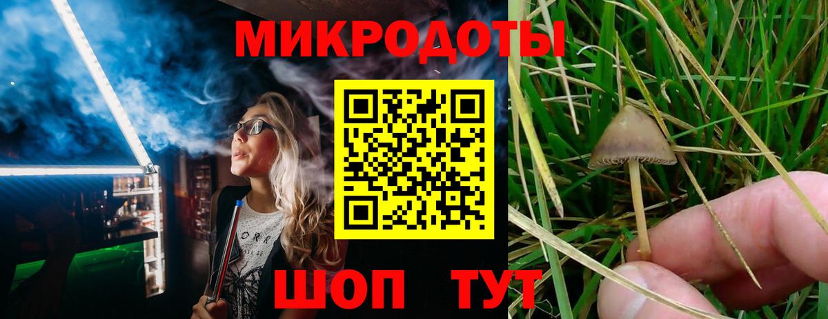 Галлюциногенные грибы мухоморы  Вход с VPN  купить  цена  Псилоцибиновые грибы Cubensis  Тамбов 