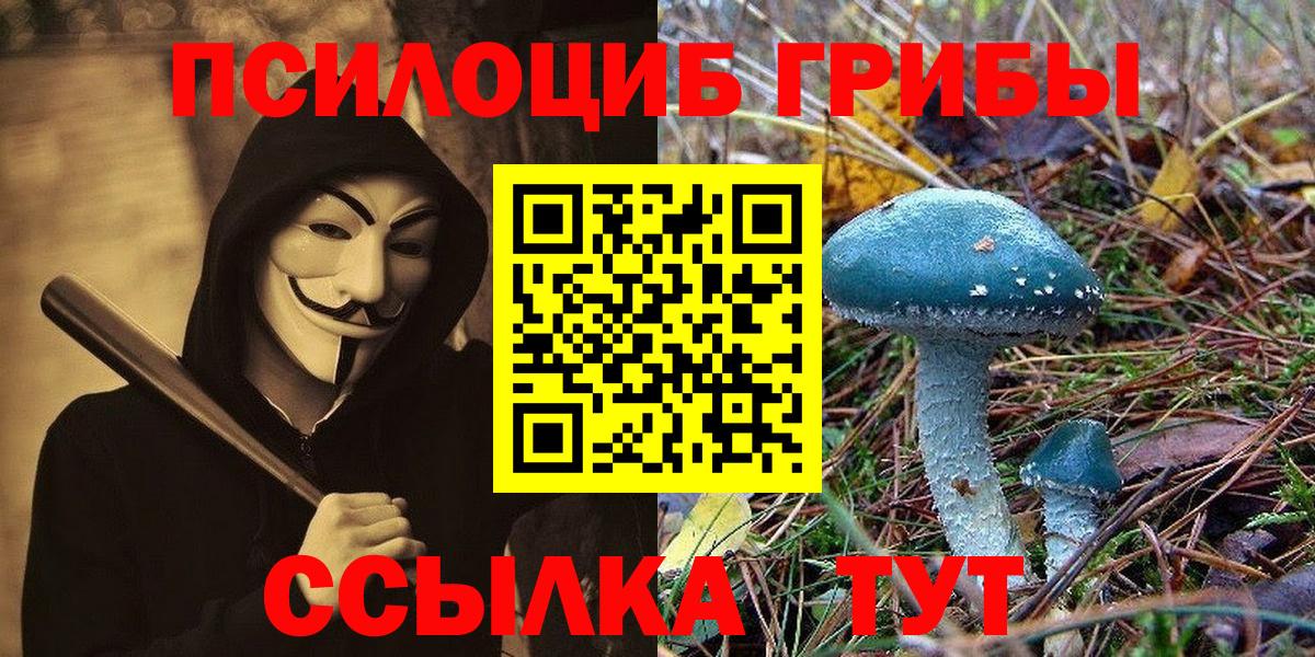 Псилоцибиновые грибы прущие грибы Тамбов
